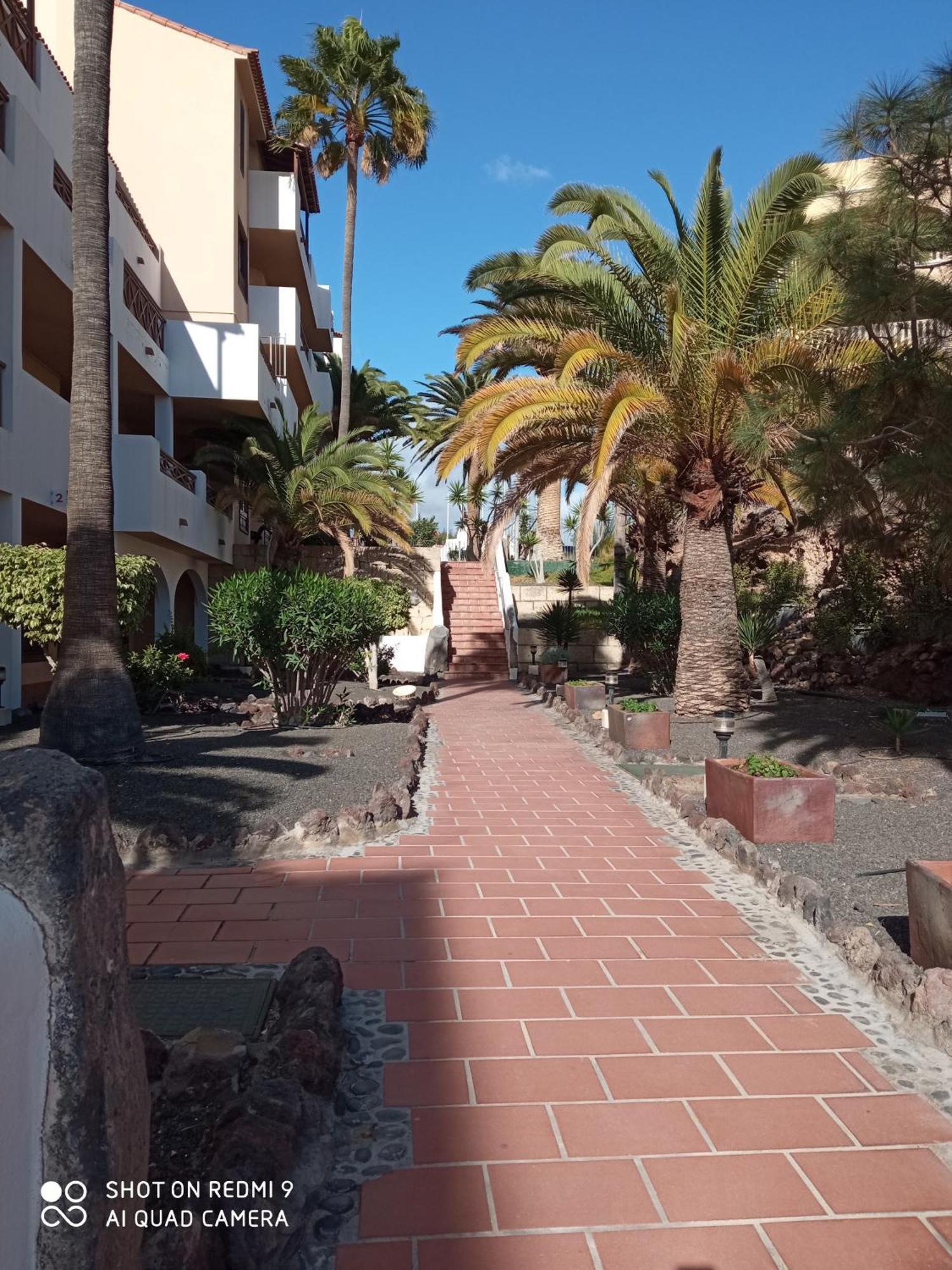 Las Meninas Tenerife San Miguel de Abona Cameră foto